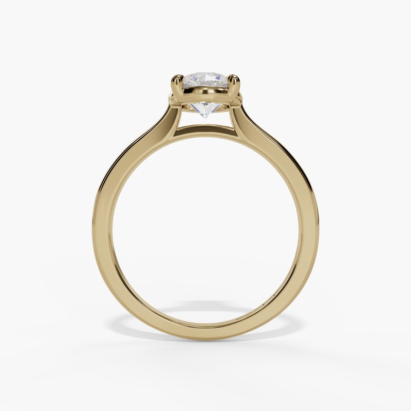 Cathedral Head With Bridge Setting Engagement Ring R14237 - Costar