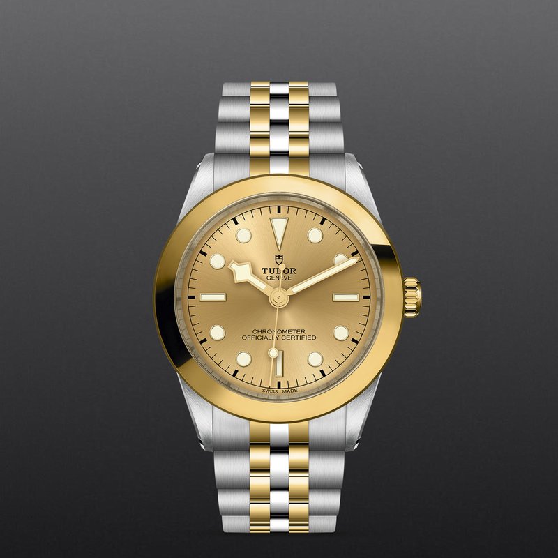 TUDOR Black Bay One 39 S&G M79663-0005 - Loring & Co.