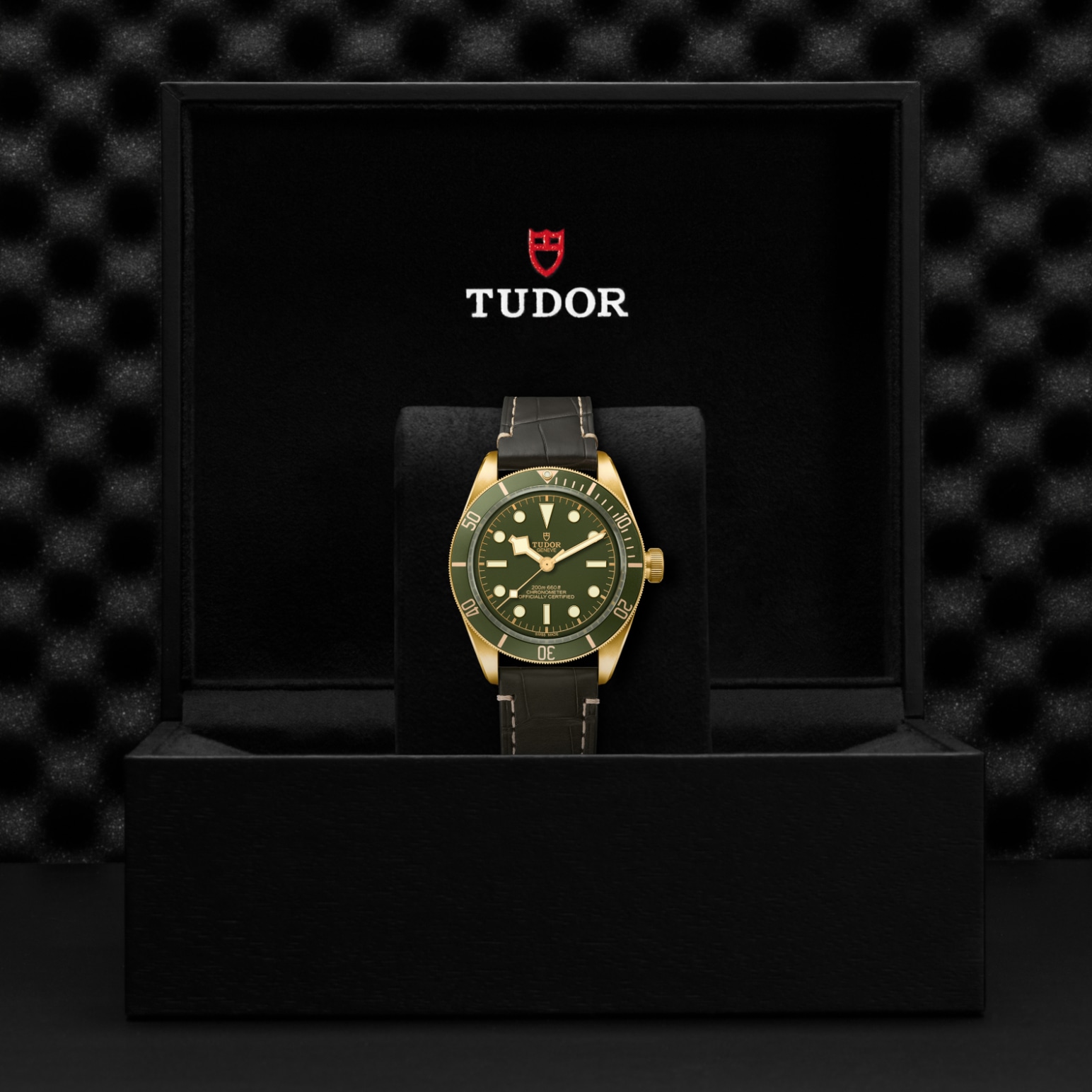 TUDOR Black Bay 58 18K M79018V-0001 - Hartgers Jewelers