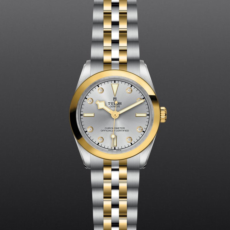 TUDOR Black Bay One 31 S&G M79603-0007 - Hartgers Jewelers