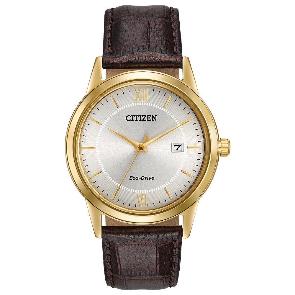 Citizen MEN ECO WR SSG STRA SLVR AW1232-04A - David Arlen Jewelers