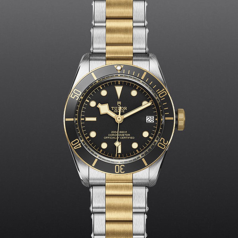 TUDOR Black Bay S&G M79733N-0008 - Hartgers Jewelers