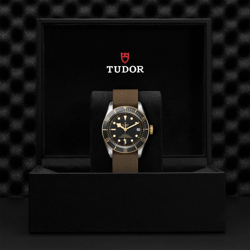 TUDOR Black Bay S&G M79733N-0005 - O.C. Tanner Jewelers