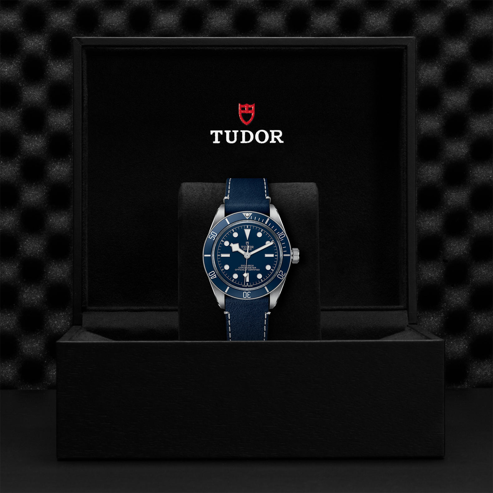 TUDOR Black Bay 58 M79030B-0002 - M.P. Demetre Jewelers