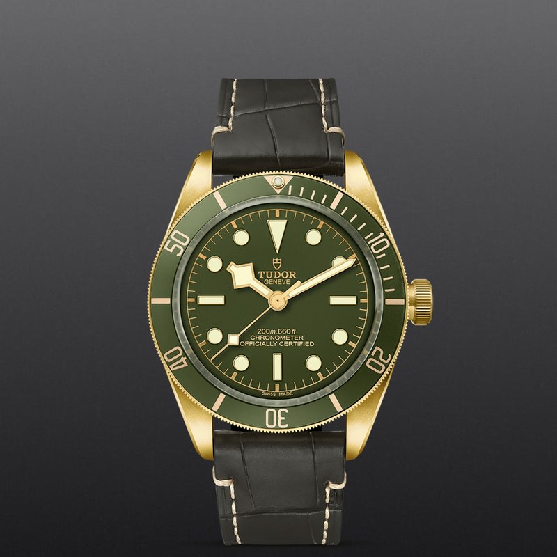 TUDOR Black Bay 58 18K M79018V-0001 - Hartgers Jewelers