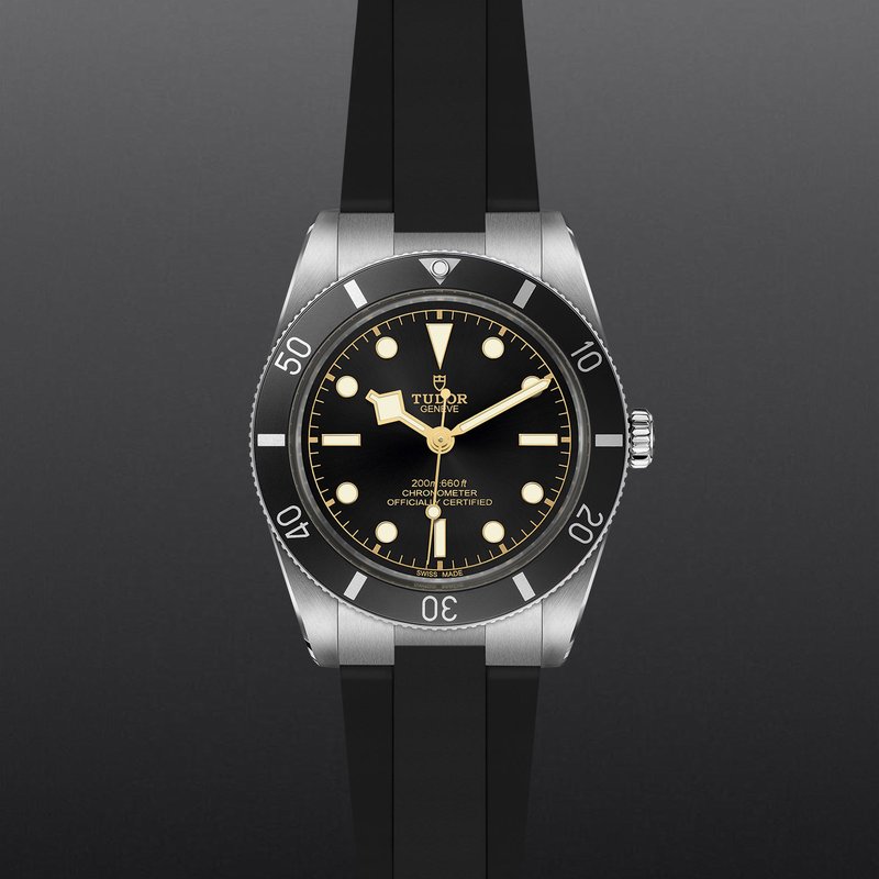 TUDOR Black Bay 54 M79000N-0002 - Loring & Co.
