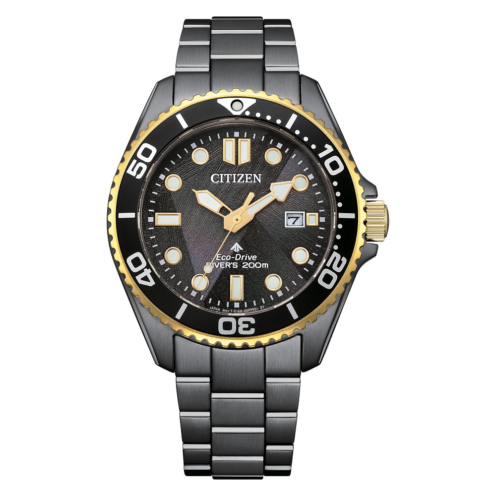 Citizen MEN ECO 200M SS BRAC BLCK BN0261-51E - Ross's Fine Jewelers