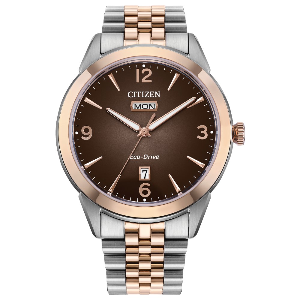 Citizen MEN ECO WR100 SSTRG BRAC BRWN AW0156-57X - The Diamond Family