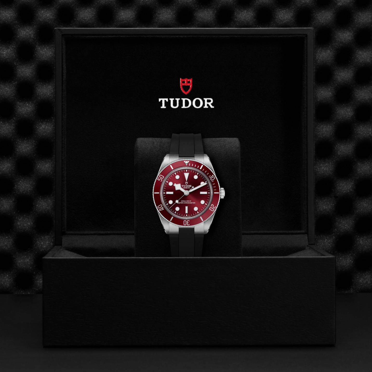 TUDOR Black Bay 58 M7939A1A0RU-0003 - Loring & Co.