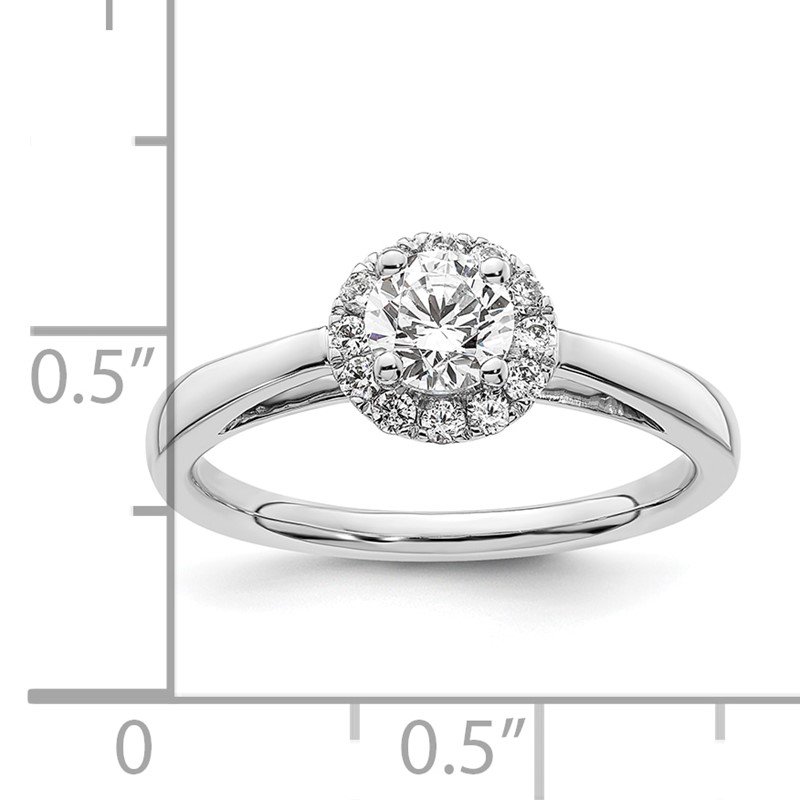 14K White Gold Eternal Promise Lab Grown Diamond Halo Complete Ring 14K White Gold Eternal Promise Lab Grown Diamond Halo Complete Ring