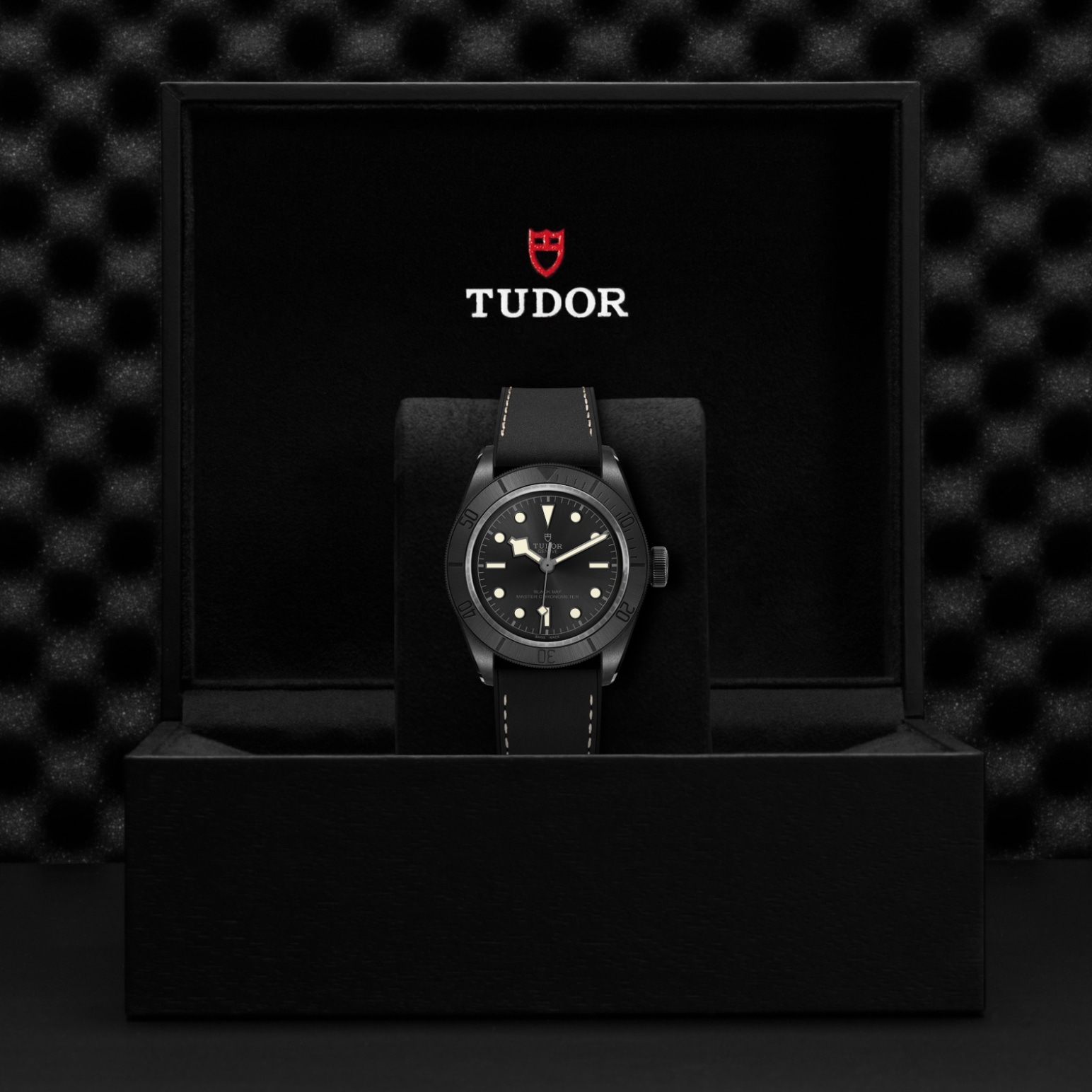TUDOR Black Bay Ceramic M79210CNU-0001 - Hartgers Jewelers