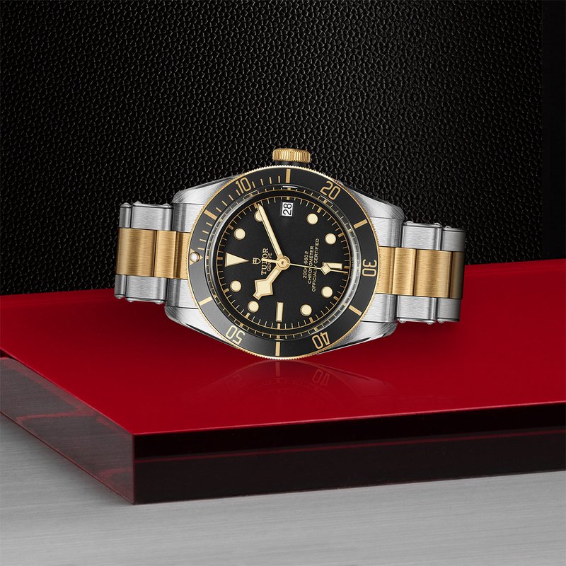 TUDOR Black Bay S&G M79733N-0008 - Hartgers Jewelers