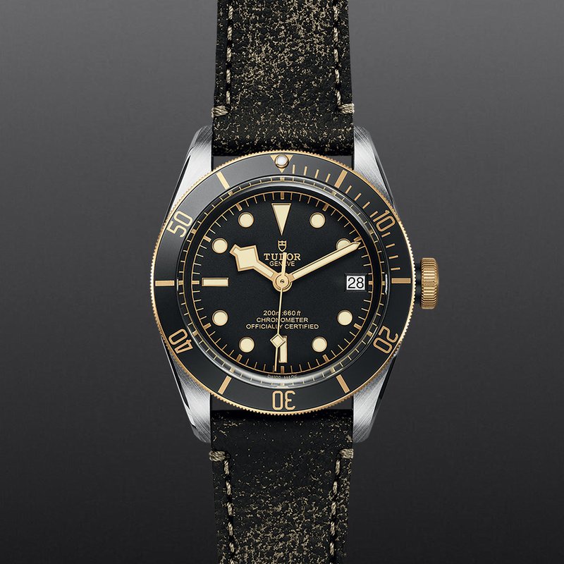 TUDOR Black Bay S&G M79733N-0007 - Hartgers Jewelers
