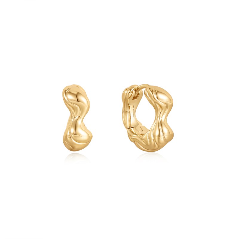 ANIA HAIE Twisted Wave Thick Hoop Earrings E050-04G Disinger