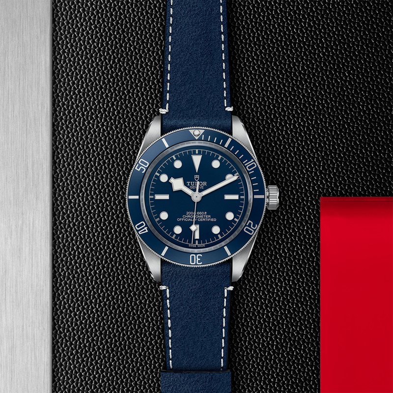 TUDOR Black Bay 58 M79030B-0002 - M.P. Demetre Jewelers