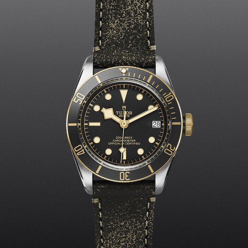 TUDOR TUDORBlack Bay S&G M79733N-0007 - Hartgers Jewelers