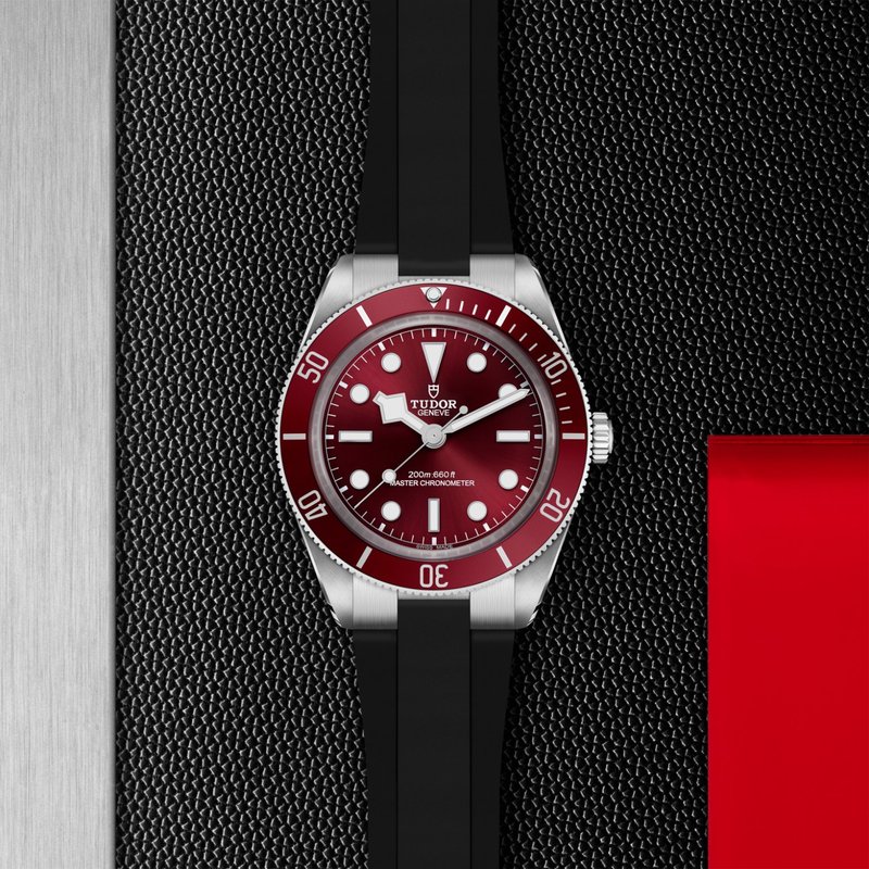 TUDOR Black Bay 58 M7939A1A0RU-0003 - Hartgers Jewelers
