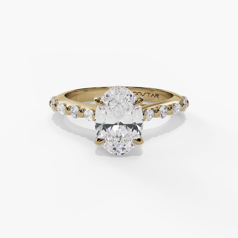 Hidden Halo Engagement Ring with Round Floating Diamond Shank
