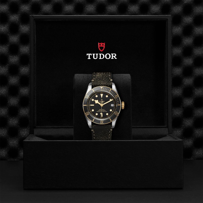TUDOR TUDORBlack Bay S&G M79733N-0007 - Hartgers Jewelers
