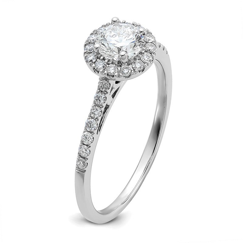 10k or 14k White Gold Lab Grown Diamond SI1/SI2, G H I, Halo Complete Engagement Ring 10k or 14k White Gold Lab Grown Diamond SI1/SI2, G H I, Halo Complete Engagement Ring