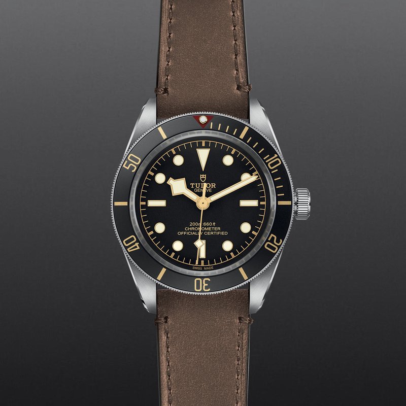 TUDOR TUDORBlack Bay 58 M79030N-0002 Loring