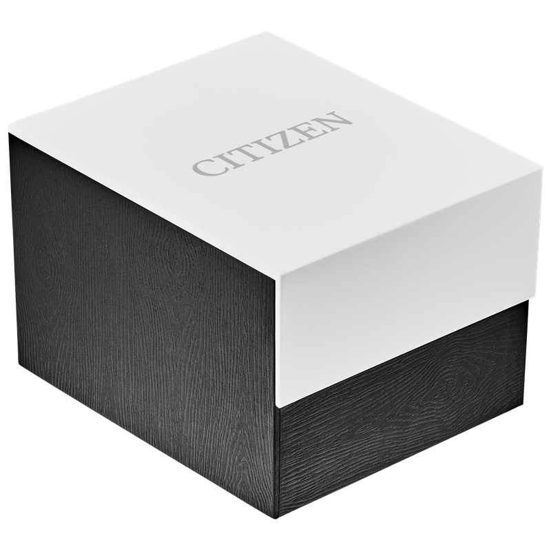 91p File Citizen LAD QUARTZ WR50 SSG EXPA CHMP EQ2002-91P - W. Smith & Co. Fine ...