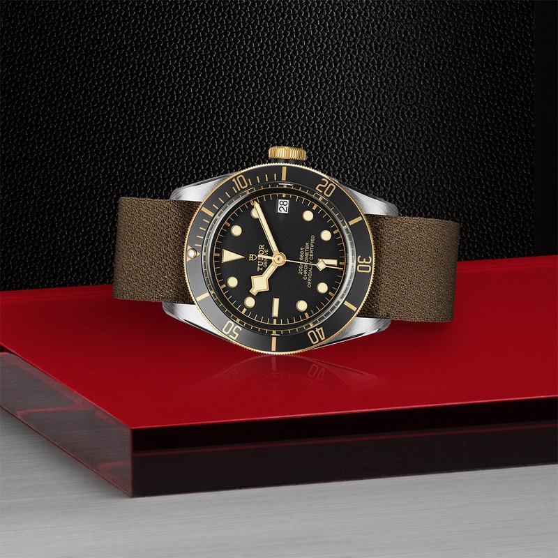 TUDOR Black Bay S&G M79733N-0005 - O.C. Tanner Jewelers