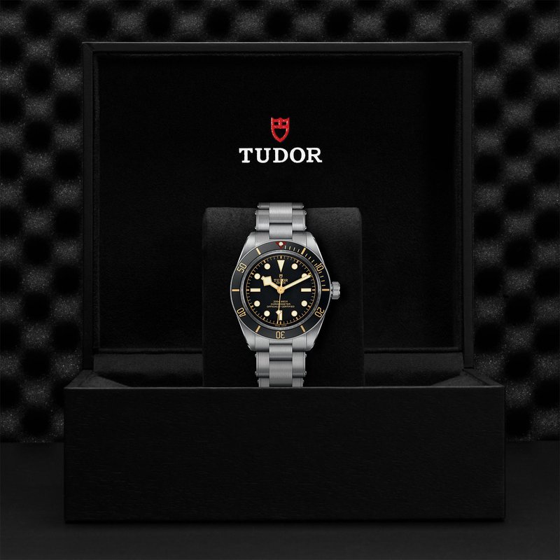 TUDOR Black Bay 58 M79030N-0001 - Haltom 