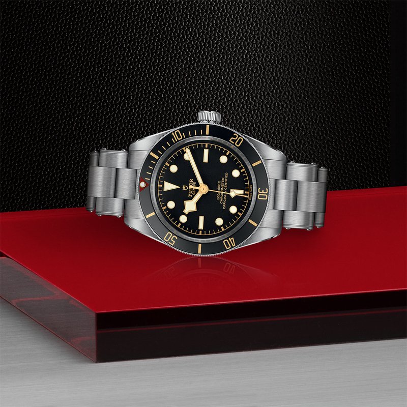 TUDOR Black Bay 58 M79030N-0001 - Haltom 