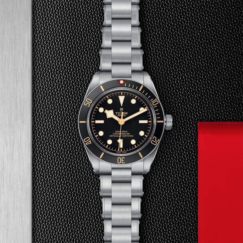 TUDOR Black Bay 58 M79030N-0001 - Haltom 