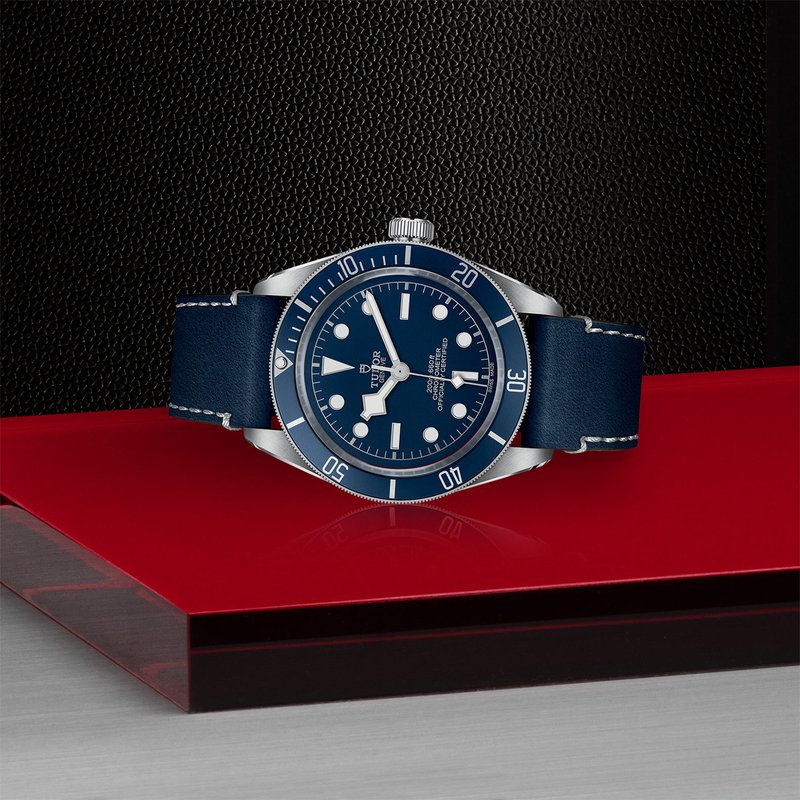 TUDOR Black Bay 58 M79030B-0002 - M.P. Demetre Jewelers