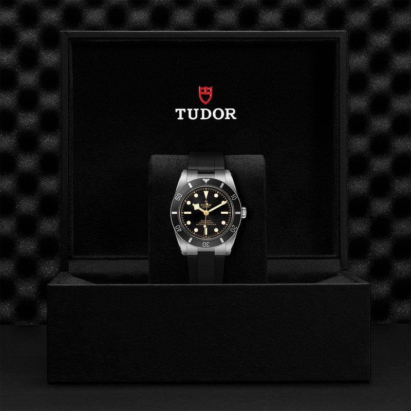 TUDOR Black Bay 54 M79000N-0002 - Loring & Co. Fine Jewelers