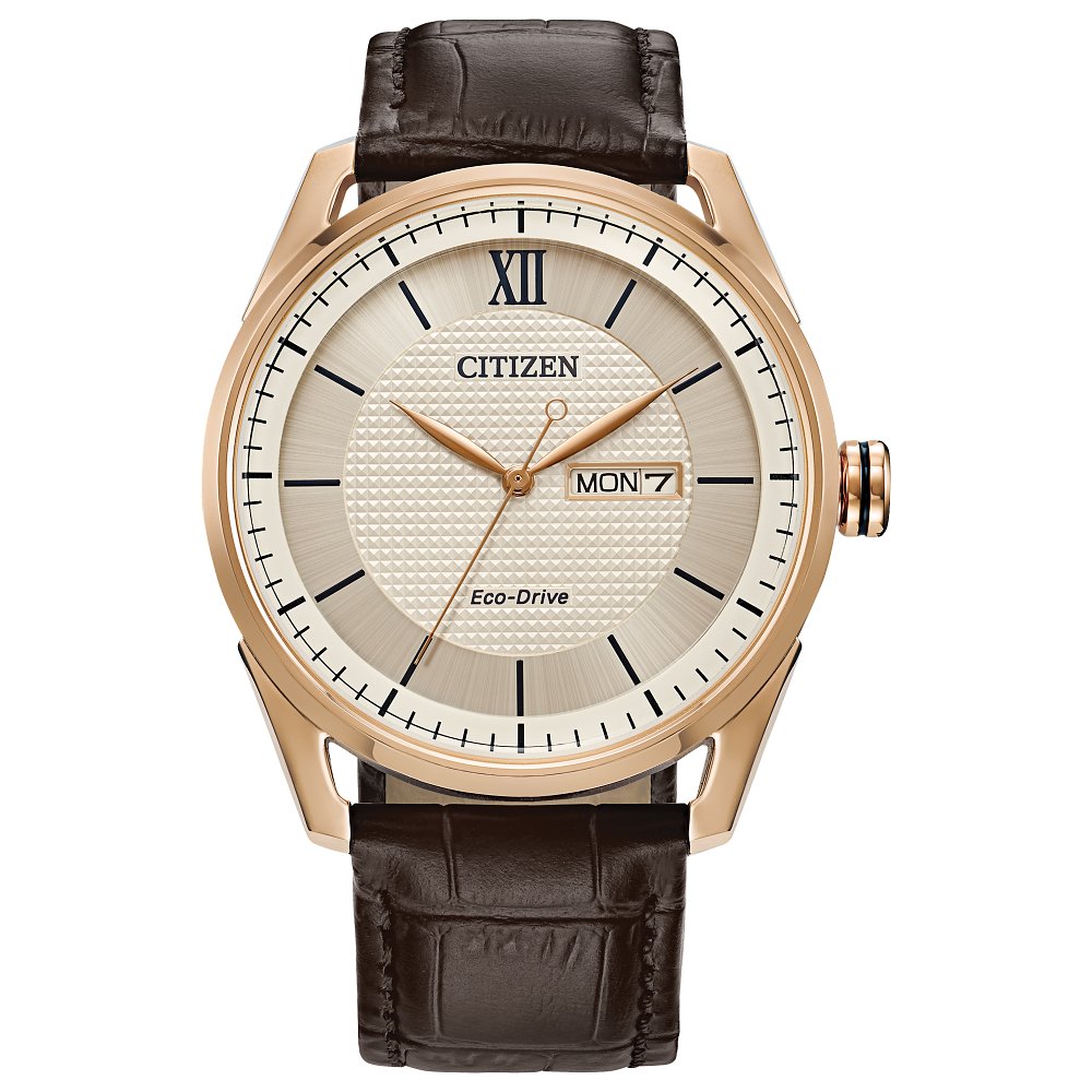 Citizen MEN ECO WR100 SSRG STRA IVRY AW0082-01A - Valle Jewelers