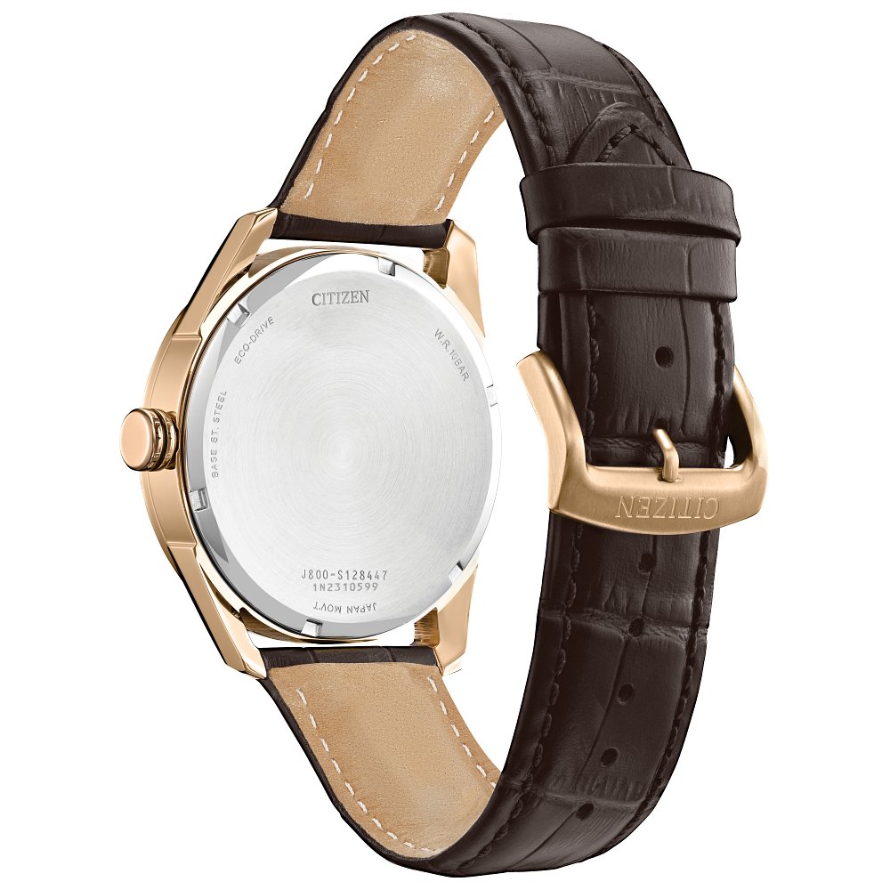 Citizen MEN ECO WR100 SSRG STRA IVRY AW0082-01A - Jerrick's Fine
