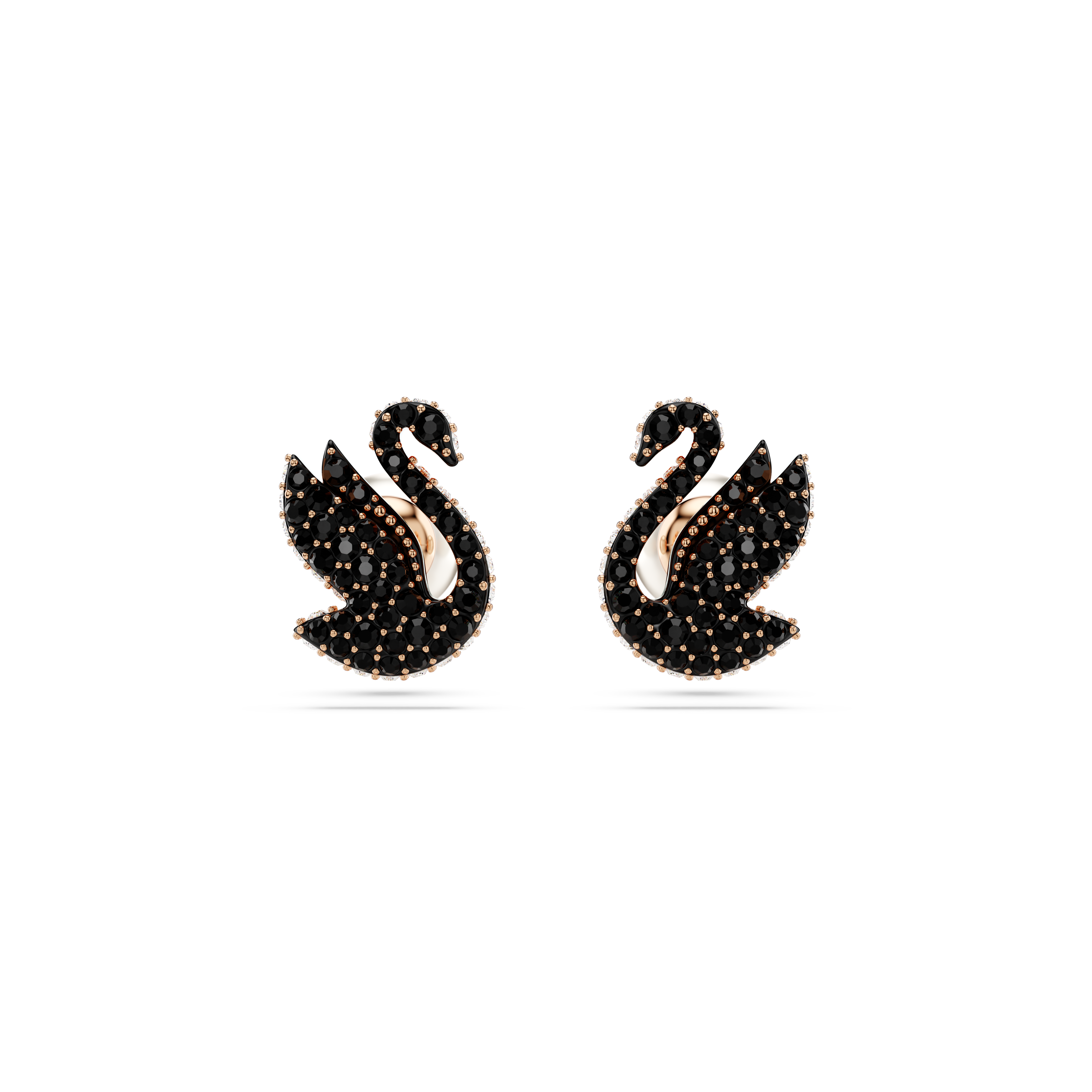 Swarovski Swan stud earrings, Crystal pearl, Swan, Black, Rose
