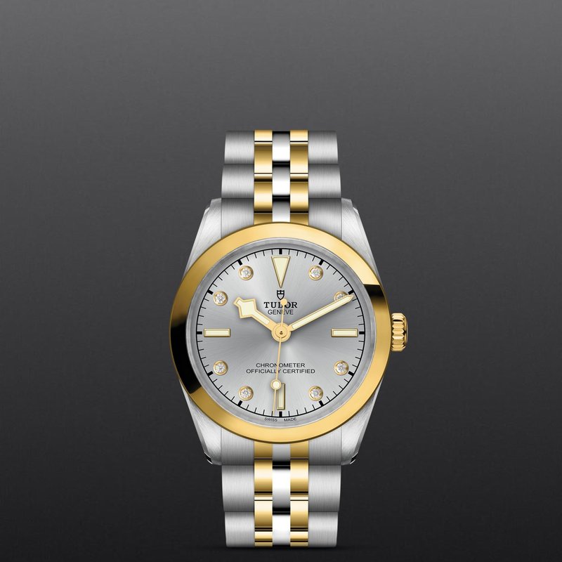 TUDOR Black Bay One 31 S&G M79603-0007 - Hartgers Jewelers