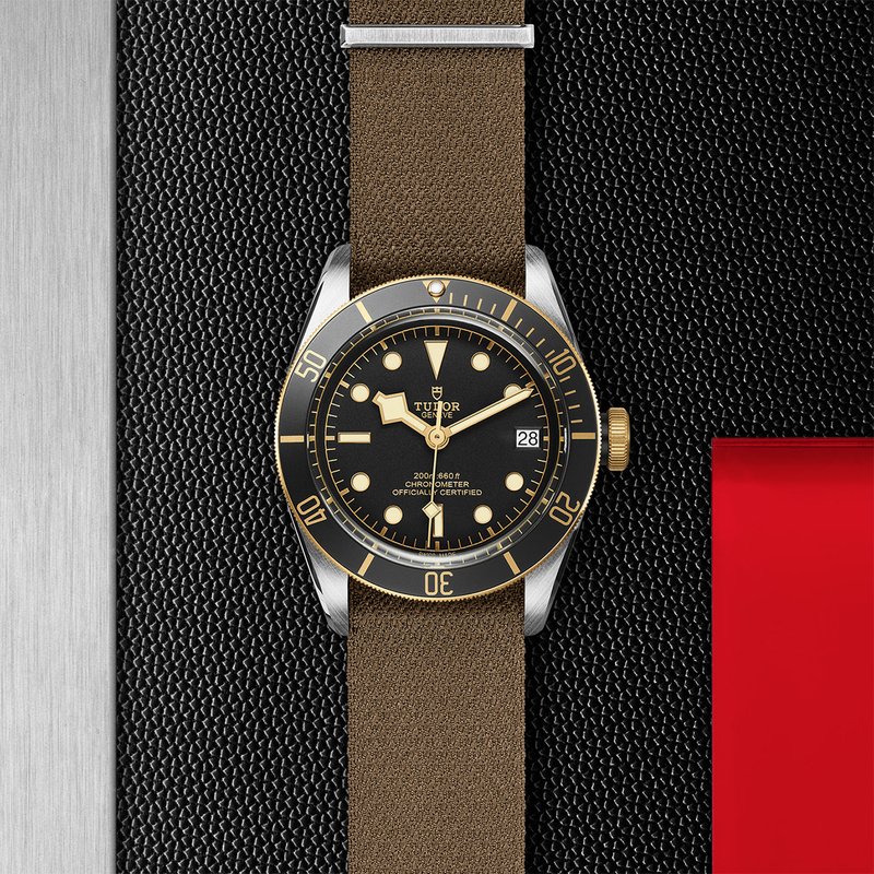 TUDOR Black Bay S&G watch - m79733n-0004 | TUDOR Watch
