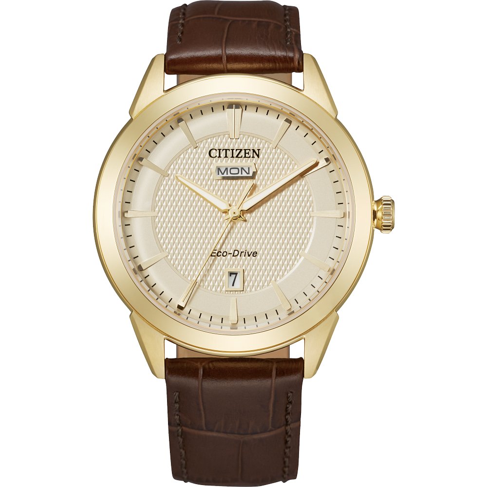 オーラ23    No1009 Citizen MEN ECO WR100 SSG STRA CHMP AW0092-07Q - Sartor Hamann
